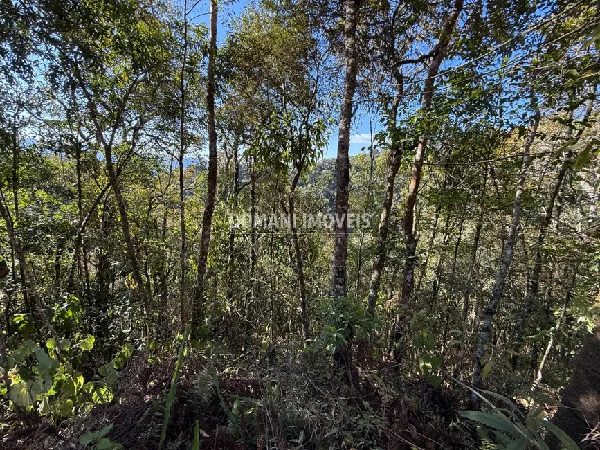 Foto 2 de Terreno / Lote à venda, 1275m2 em Campos Do Jordao - SP