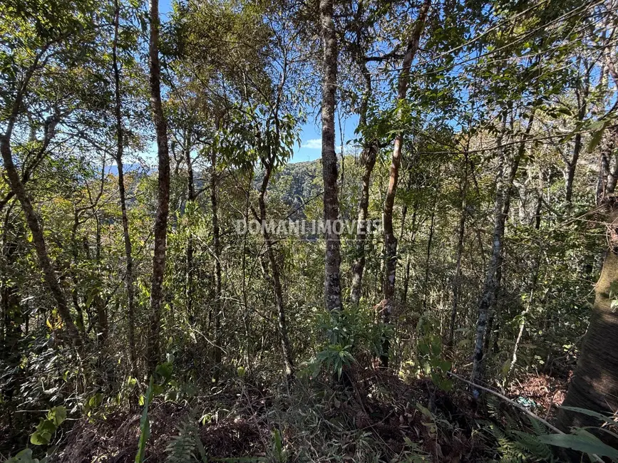 Foto 6 de Terreno / Lote à venda, 1275m2 em Campos Do Jordao - SP