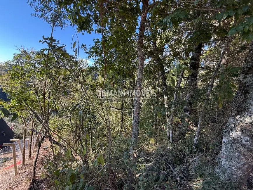 Foto 8 de Terreno / Lote à venda, 1275m2 em Campos Do Jordao - SP