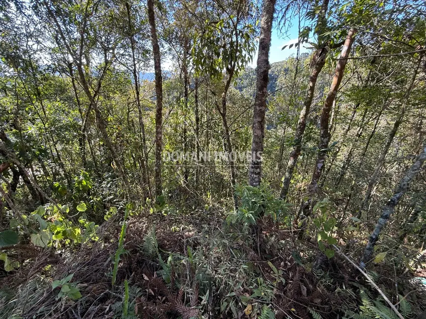 Foto 9 de Terreno / Lote à venda, 1275m2 em Campos Do Jordao - SP