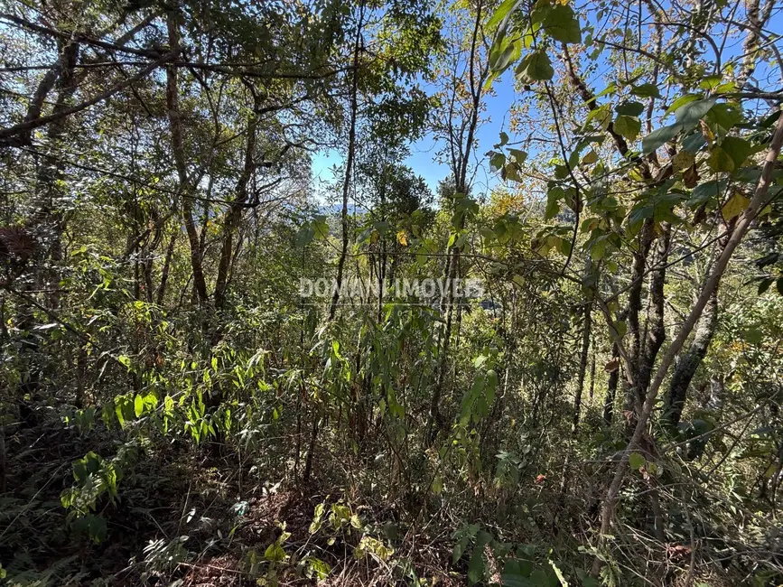 Foto 7 de Terreno / Lote à venda, 1275m2 em Campos Do Jordao - SP
