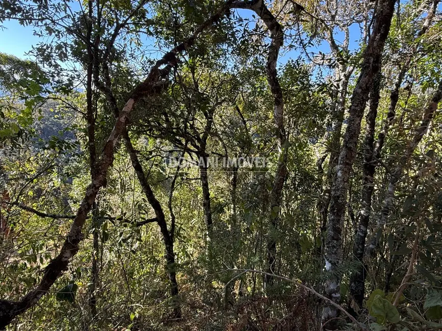 Foto 5 de Terreno / Lote à venda, 1275m2 em Campos Do Jordao - SP