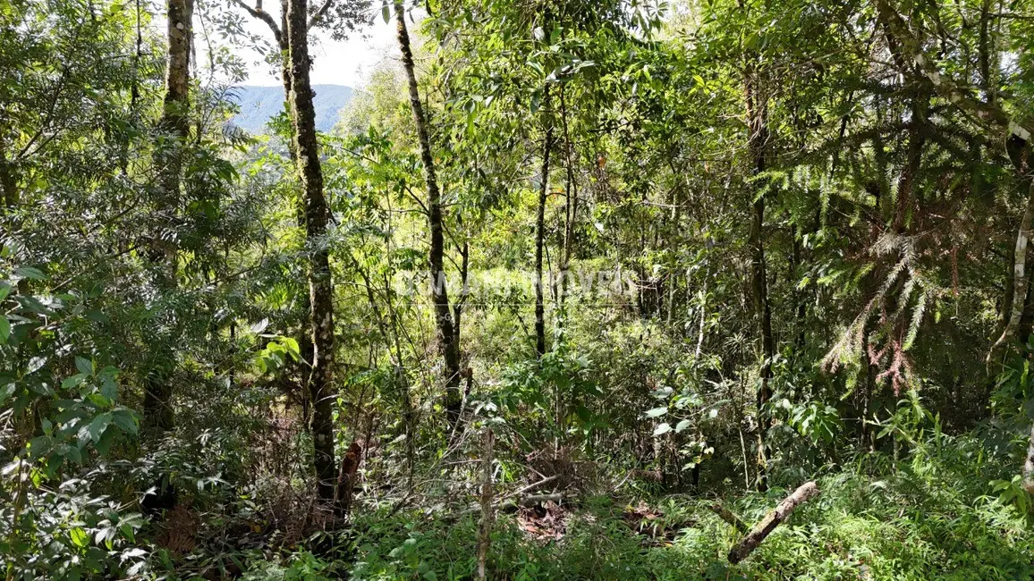 Foto 1 de Terreno / Lote à venda, 1275m2 em Campos Do Jordao - SP