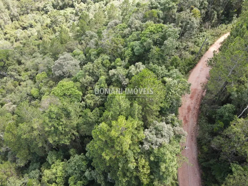 Foto 9 de Terreno / Lote à venda, 5820m2 em Campos Do Jordao - SP