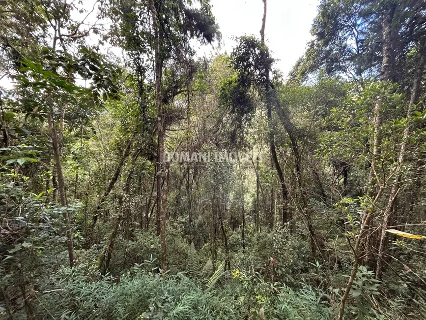Foto 5 de Terreno / Lote à venda, 5820m2 em Campos Do Jordao - SP