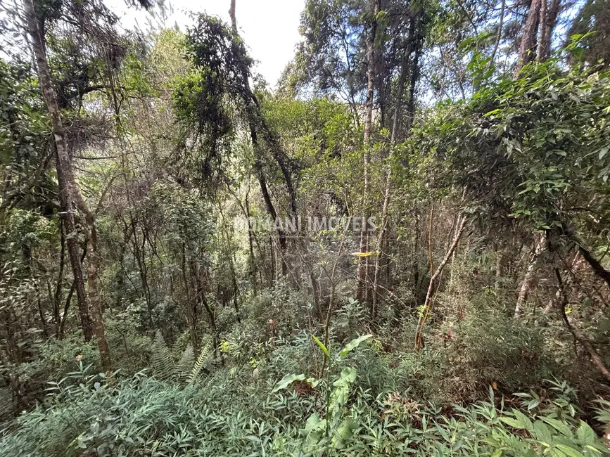 Foto 1 de Terreno / Lote à venda, 5820m2 em Campos Do Jordao - SP