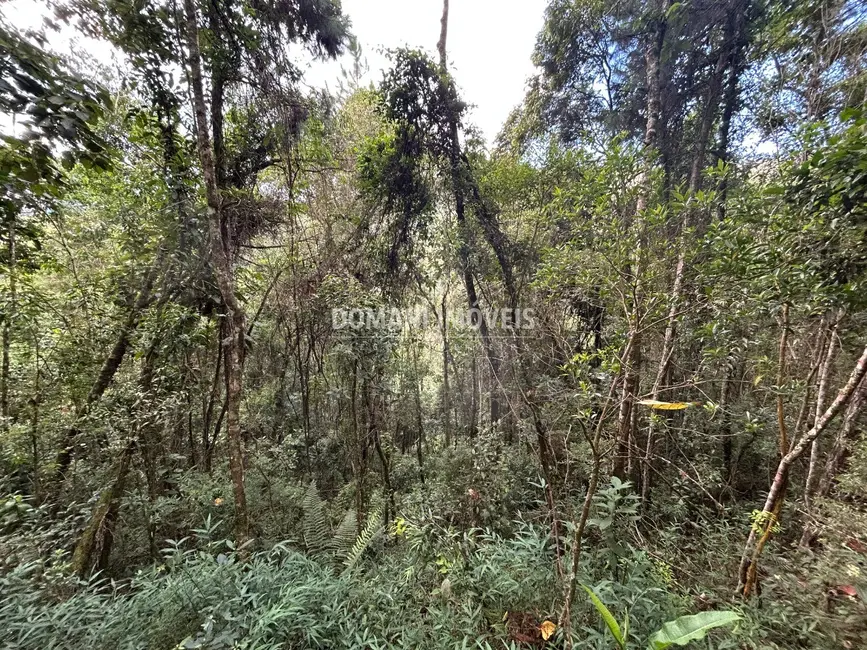 Foto 2 de Terreno / Lote à venda, 5820m2 em Campos Do Jordao - SP