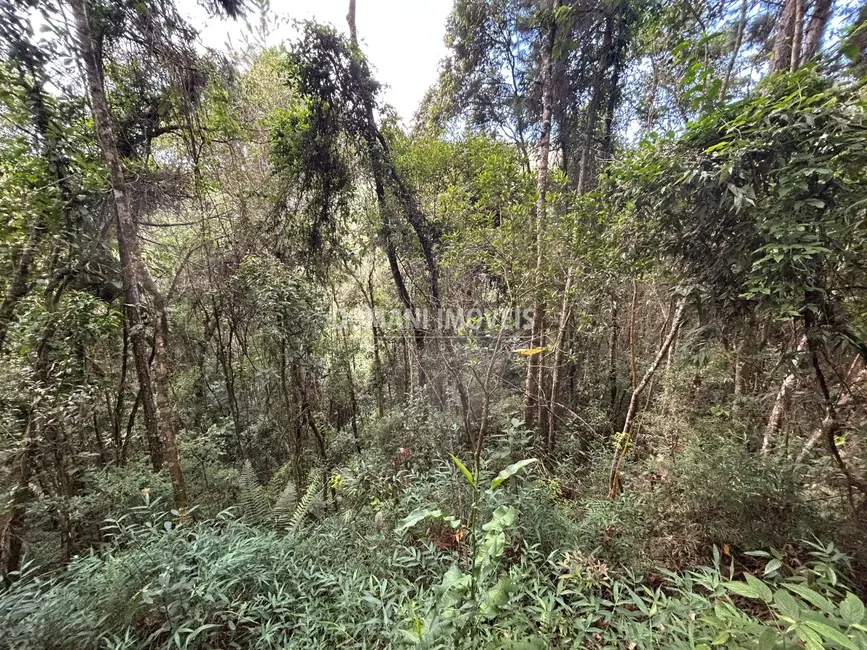 Foto 7 de Terreno / Lote à venda, 5820m2 em Campos Do Jordao - SP