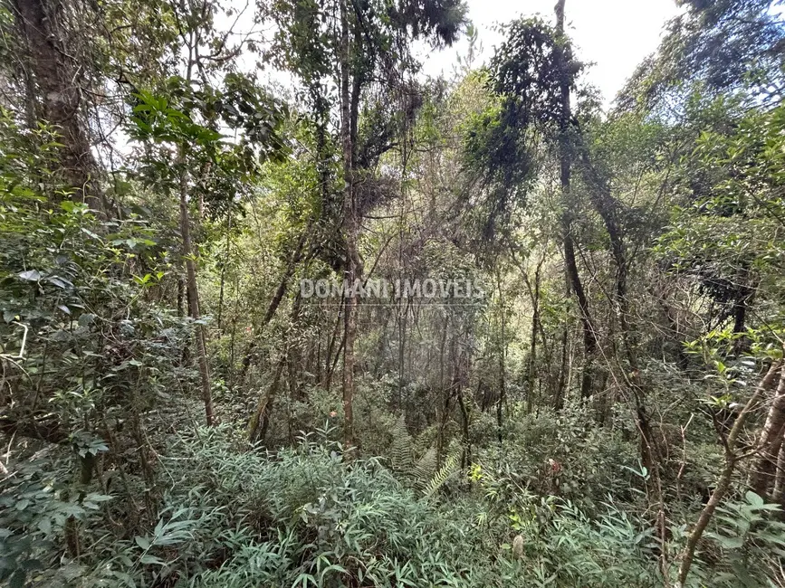 Foto 4 de Terreno / Lote à venda, 5820m2 em Campos Do Jordao - SP