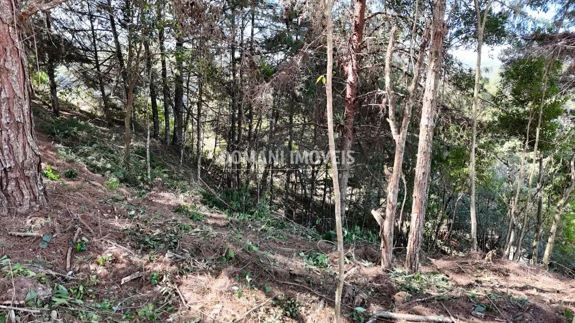 Foto 8 de Terreno / Lote à venda, 1182m2 em Campos Do Jordao - SP