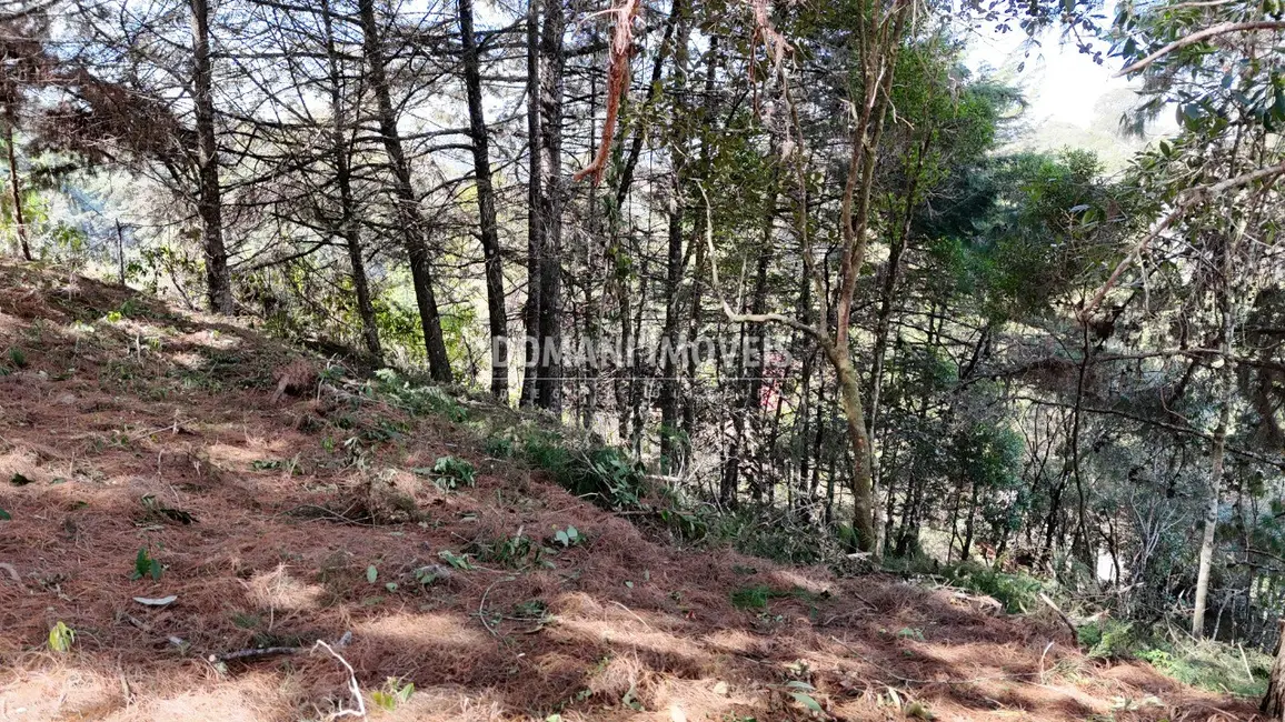 Foto 1 de Terreno / Lote à venda, 1182m2 em Campos Do Jordao - SP