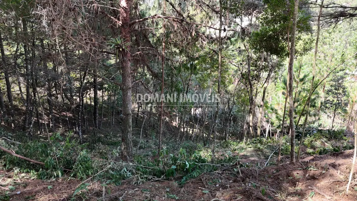 Foto 5 de Terreno / Lote à venda, 1182m2 em Campos Do Jordao - SP