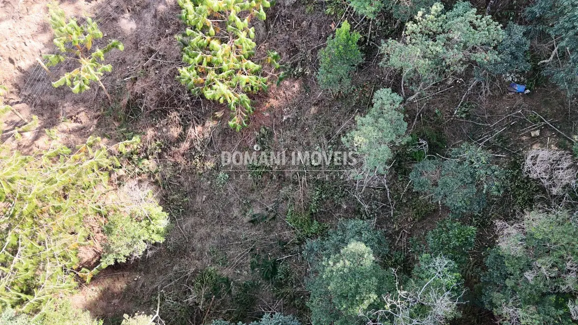 Foto 9 de Terreno / Lote à venda, 1182m2 em Campos Do Jordao - SP