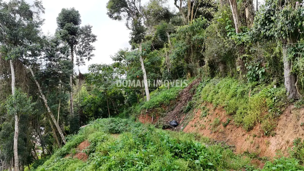 Terreno / Lote à venda, 632m2 em Campos Do Jordao - SP - imagem 8 Foto 8 de Terreno / Lote à venda, 632m2 em Campos Do Jordao - SP