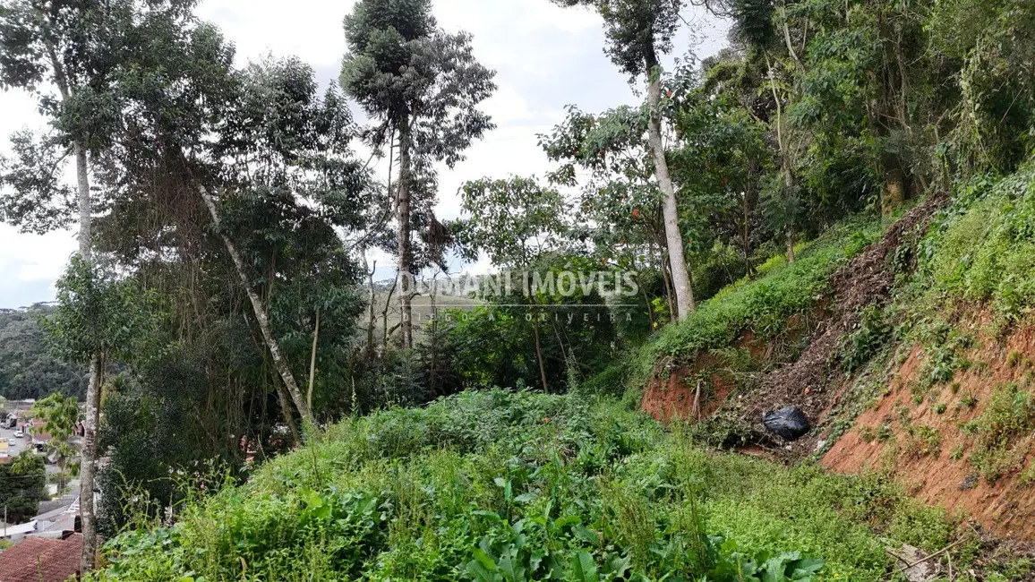 Terreno / Lote à venda, 632m2 em Campos Do Jordao - SP - imagem 9 Foto 9 de Terreno / Lote à venda, 632m2 em Campos Do Jordao - SP