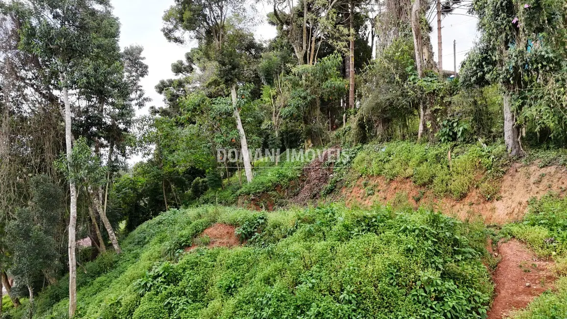 Terreno / Lote à venda, 632m2 em Campos Do Jordao - SP - imagem 7 Foto 7 de Terreno / Lote à venda, 632m2 em Campos Do Jordao - SP