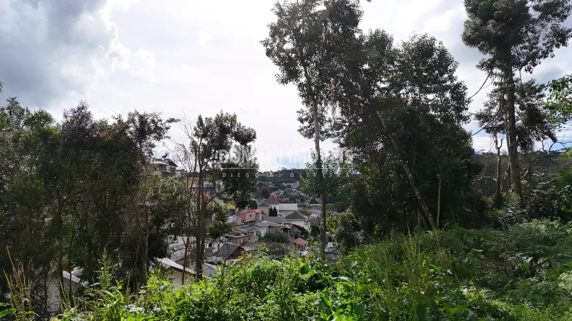 Terreno / Lote à venda, 632m2 em Campos Do Jordao - SP - imagem 6 Foto 6 de Terreno / Lote à venda, 632m2 em Campos Do Jordao - SP