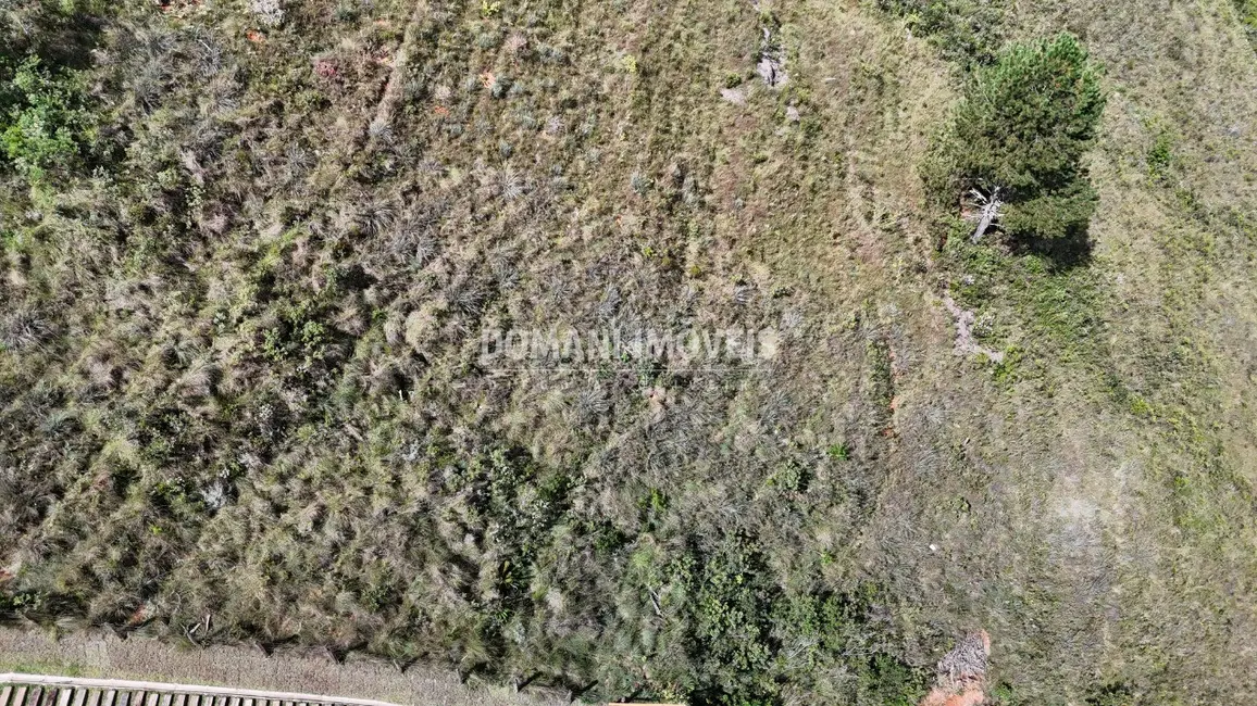 Foto 3 de Terreno / Lote à venda, 1020m2 em Campos Do Jordao - SP