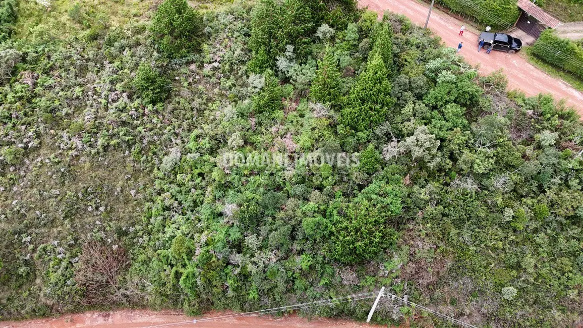 Terreno / Lote à venda, 1000m2 em Campos Do Jordao - SP - imagem 8 Foto 8 de Terreno / Lote à venda, 1000m2 em Campos Do Jordao - SP