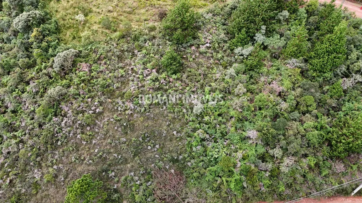 Terreno / Lote à venda, 1000m2 em Campos Do Jordao - SP - imagem 7 Foto 7 de Terreno / Lote à venda, 1000m2 em Campos Do Jordao - SP