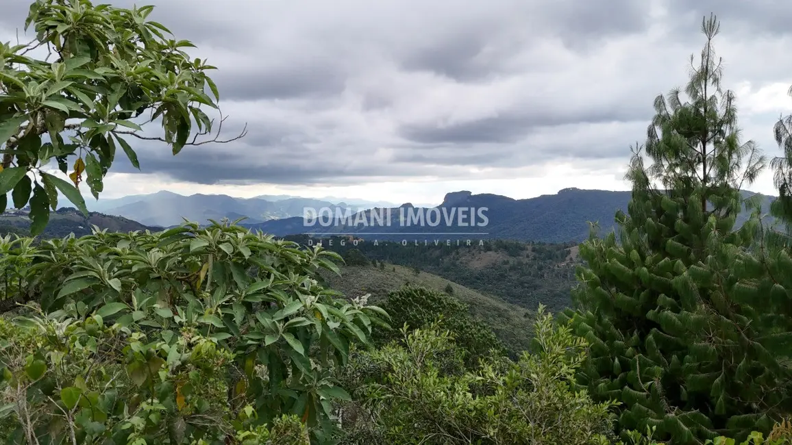 Terreno / Lote à venda, 1000m2 em Campos Do Jordao - SP - imagem 5 Foto 5 de Terreno / Lote à venda, 1000m2 em Campos Do Jordao - SP