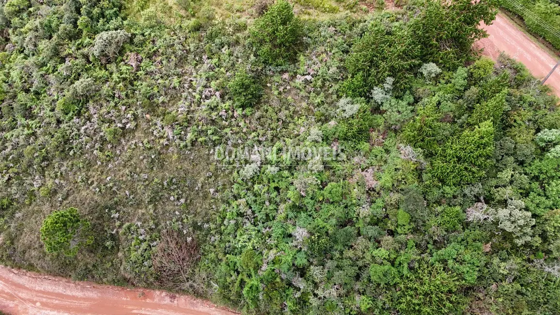 Terreno / Lote à venda, 1000m2 em Campos Do Jordao - SP - imagem 4 Foto 4 de Terreno / Lote à venda, 1000m2 em Campos Do Jordao - SP