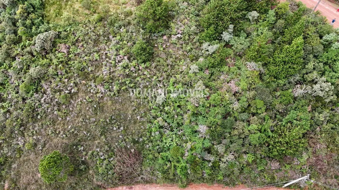 Terreno / Lote à venda, 1000m2 em Campos Do Jordao - SP - imagem 3 Foto 3 de Terreno / Lote à venda, 1000m2 em Campos Do Jordao - SP