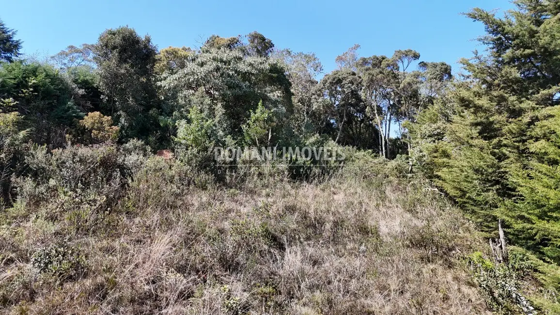 Foto 4 de Terreno / Lote à venda, 1010m2 em Campos Do Jordao - SP