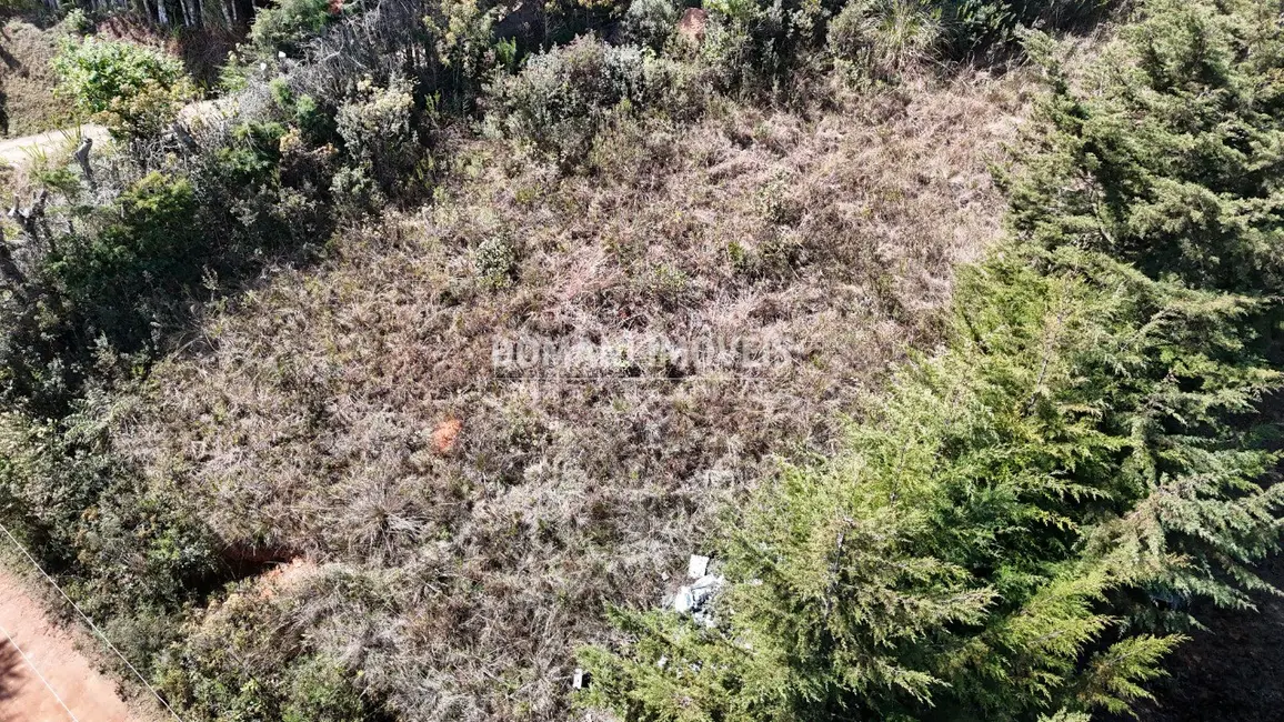 Foto 3 de Terreno / Lote à venda, 1010m2 em Campos Do Jordao - SP