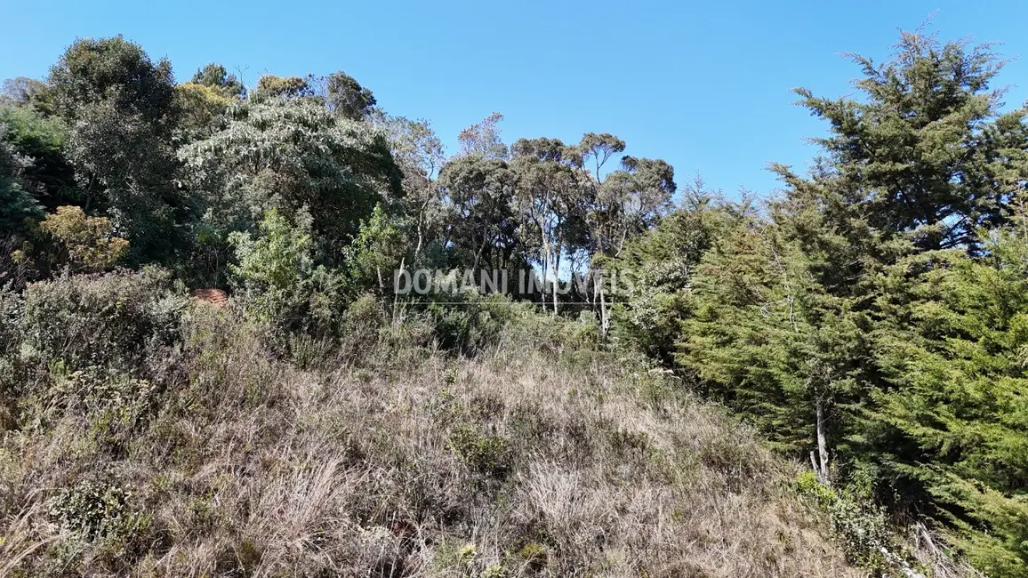 Foto 7 de Terreno / Lote à venda, 1010m2 em Campos Do Jordao - SP