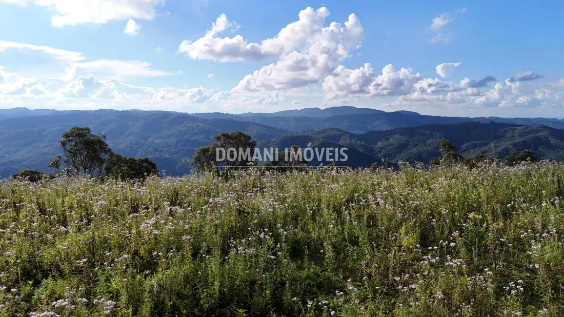 Foto 2 de Terreno / Lote à venda, 5240m2 em Campos Do Jordao - SP