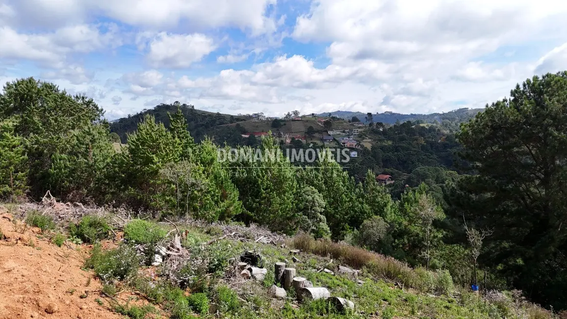 Terreno / Lote à venda, 1935m2 em Campos Do Jordao - SP - imagem 6 Foto 6 de Terreno / Lote à venda, 1935m2 em Campos Do Jordao - SP