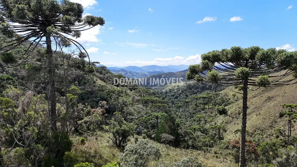 Terreno / Lote à venda em Campos Do Jordao - SP - imagem 1 Foto 1 de Terreno / Lote à venda em Campos Do Jordao - SP