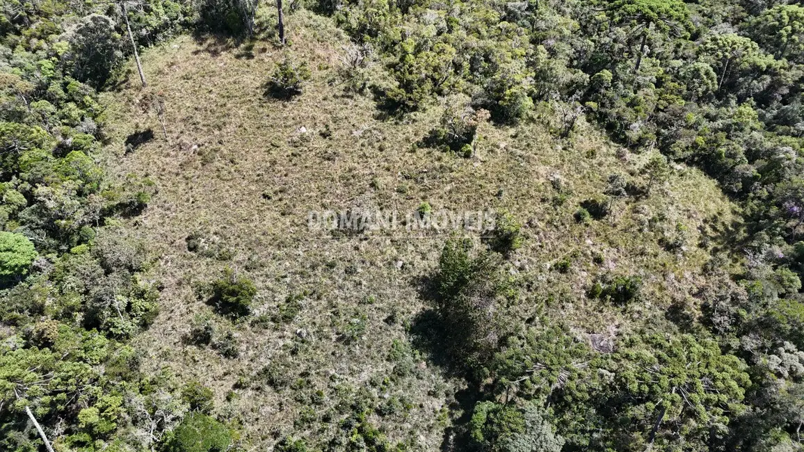 Terreno / Lote à venda em Campos Do Jordao - SP - imagem 6 Foto 6 de Terreno / Lote à venda em Campos Do Jordao - SP