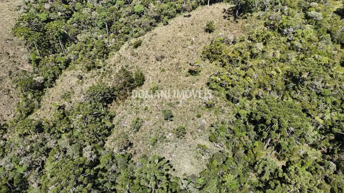 Terreno / Lote à venda em Campos Do Jordao - SP - imagem 8 Foto 8 de Terreno / Lote à venda em Campos Do Jordao - SP