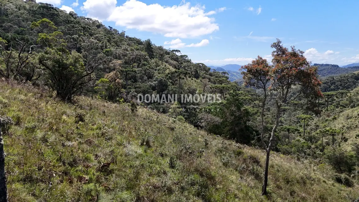Terreno / Lote à venda em Campos Do Jordao - SP - imagem 7 Foto 7 de Terreno / Lote à venda em Campos Do Jordao - SP
