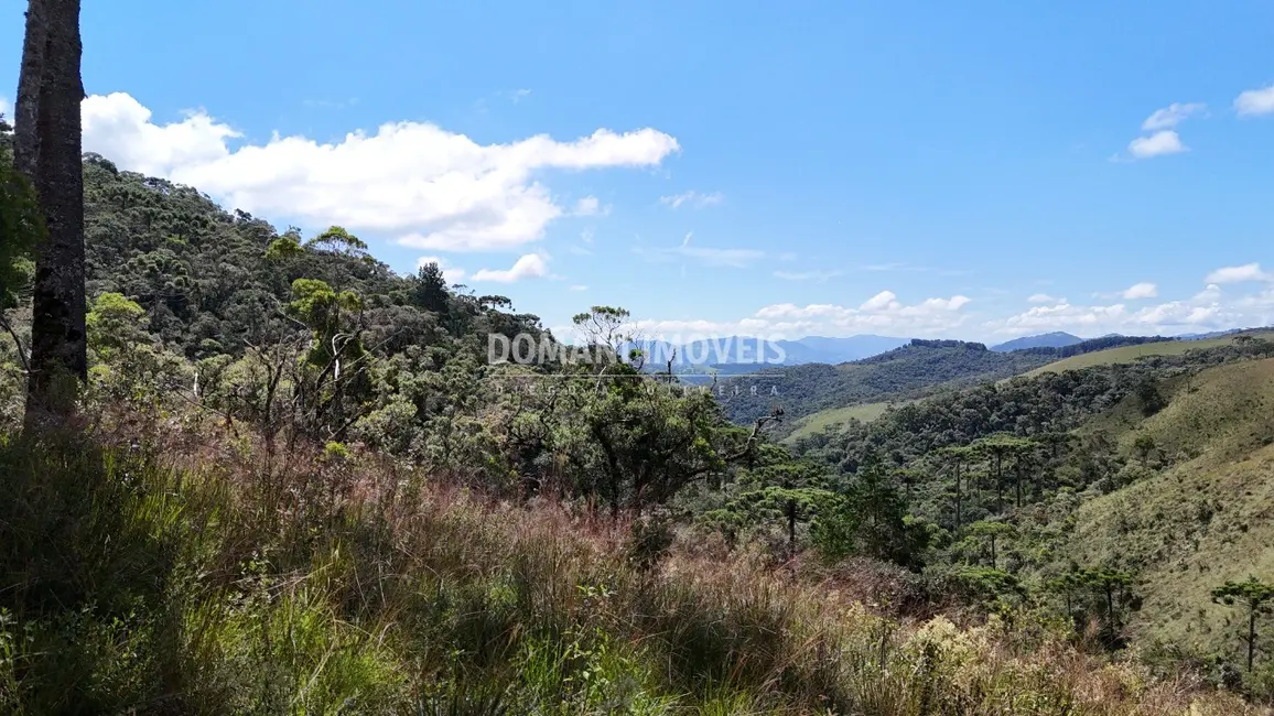 Terreno / Lote à venda em Campos Do Jordao - SP - imagem 9 Foto 9 de Terreno / Lote à venda em Campos Do Jordao - SP