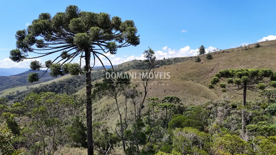 Terreno / Lote à venda em Campos Do Jordao - SP - imagem 3 Foto 3 de Terreno / Lote à venda em Campos Do Jordao - SP