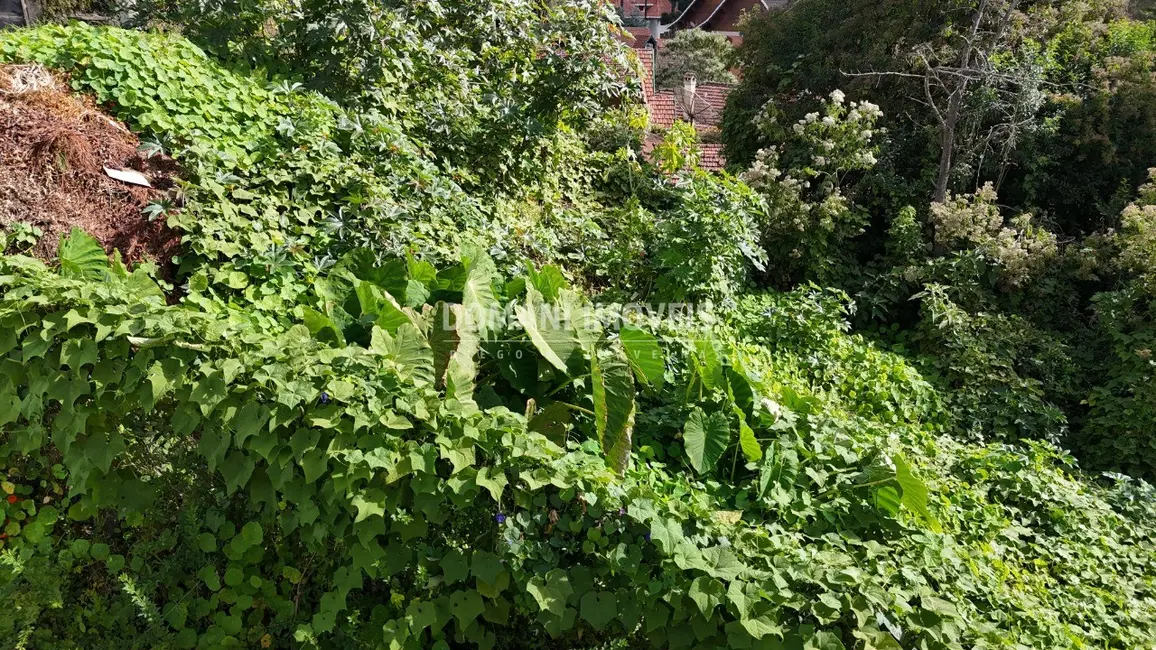 Foto 2 de Terreno / Lote à venda, 852m2 em Campos Do Jordao - SP