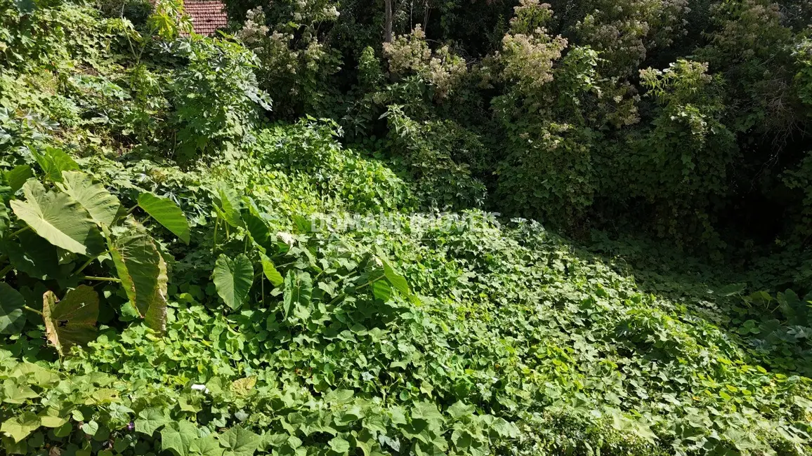 Foto 7 de Terreno / Lote à venda, 852m2 em Campos Do Jordao - SP