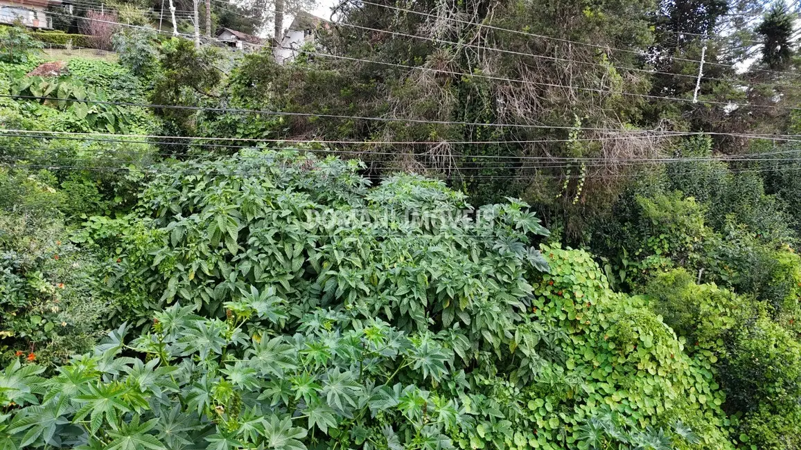 Foto 4 de Terreno / Lote à venda, 852m2 em Campos Do Jordao - SP