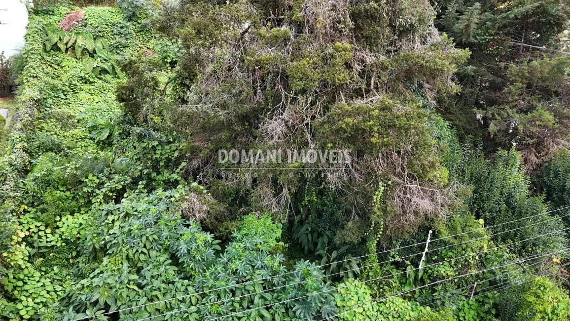 Foto 8 de Terreno / Lote à venda, 852m2 em Campos Do Jordao - SP