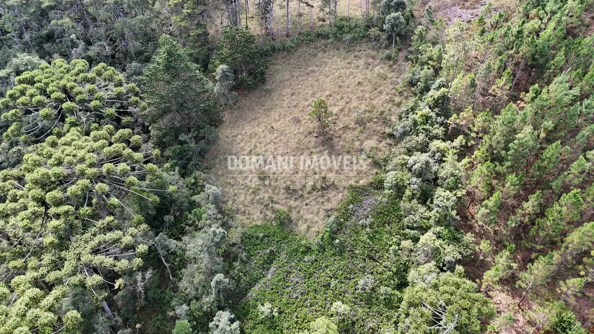 Terreno / Lote à venda em Campos Do Jordao - SP - imagem 3 Foto 3 de Terreno / Lote à venda em Campos Do Jordao - SP
