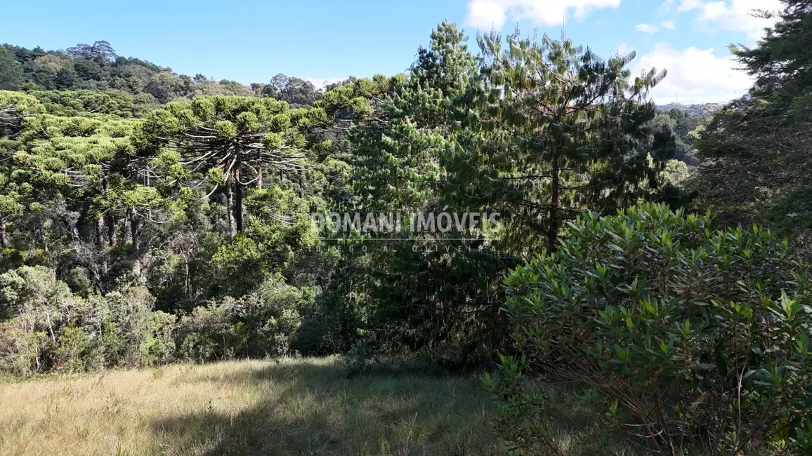 Terreno / Lote à venda em Campos Do Jordao - SP - imagem 7 Foto 7 de Terreno / Lote à venda em Campos Do Jordao - SP
