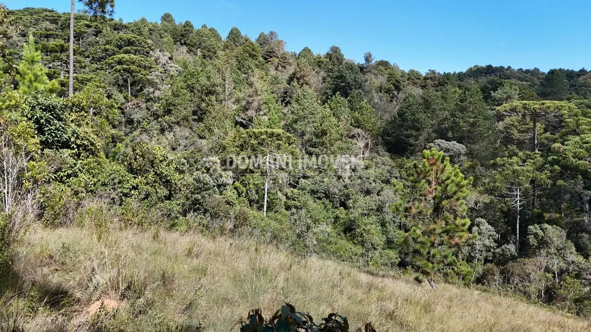 Terreno / Lote à venda em Campos Do Jordao - SP - imagem 4 Foto 4 de Terreno / Lote à venda em Campos Do Jordao - SP
