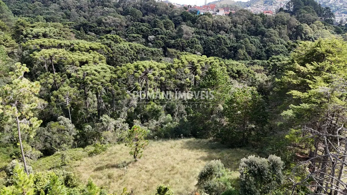 Foto 2 de Terreno / Lote à venda em Campos Do Jordao - SP