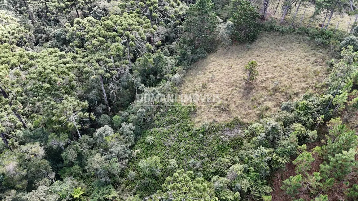 Terreno / Lote à venda em Campos Do Jordao - SP - imagem 8 Foto 8 de Terreno / Lote à venda em Campos Do Jordao - SP