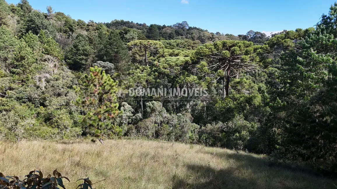 Foto 1 de Terreno / Lote à venda em Campos Do Jordao - SP
