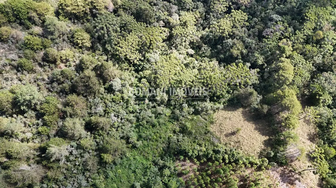 Terreno / Lote à venda em Campos Do Jordao - SP - imagem 6 Foto 6 de Terreno / Lote à venda em Campos Do Jordao - SP