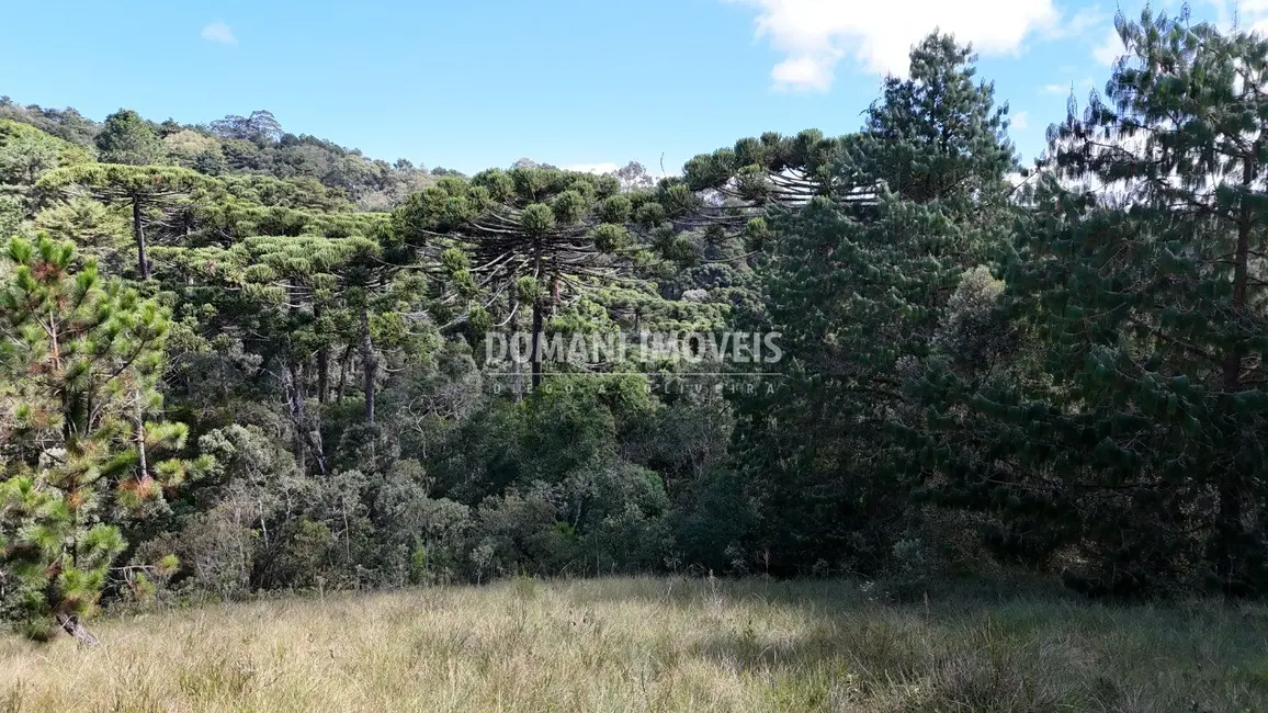 Terreno / Lote à venda em Campos Do Jordao - SP - imagem 5 Foto 5 de Terreno / Lote à venda em Campos Do Jordao - SP